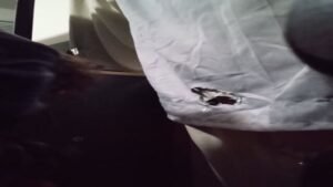 Sucking Uncut 22yo Visitor At My Gloryhole  UK